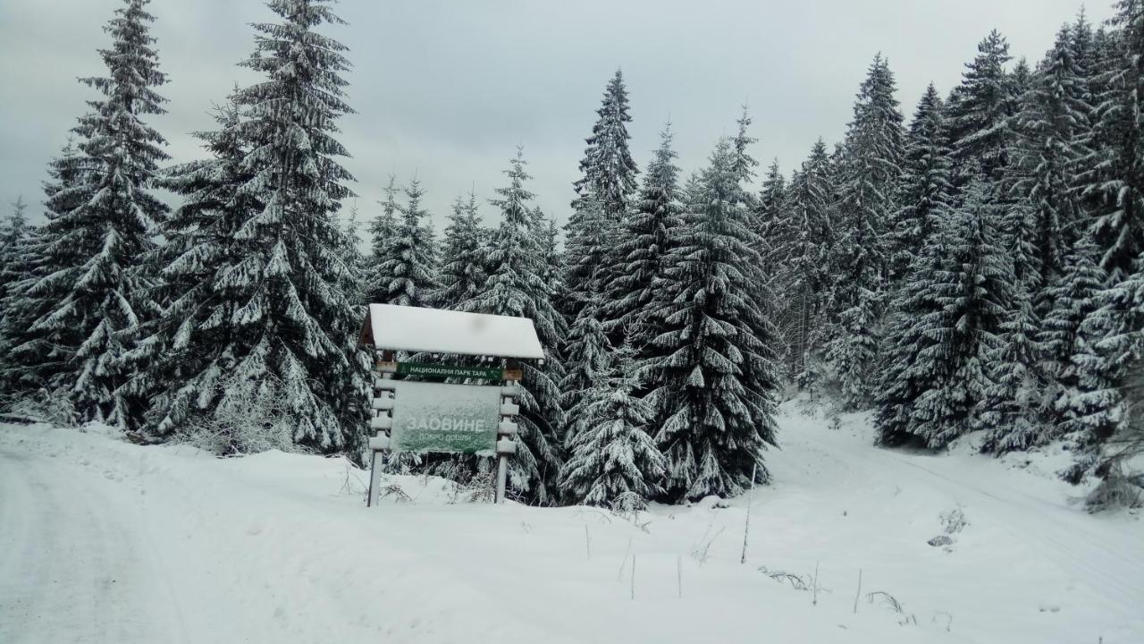 فيلا Zaovineفي Rajski Pogled المظهر الخارجي الصورة