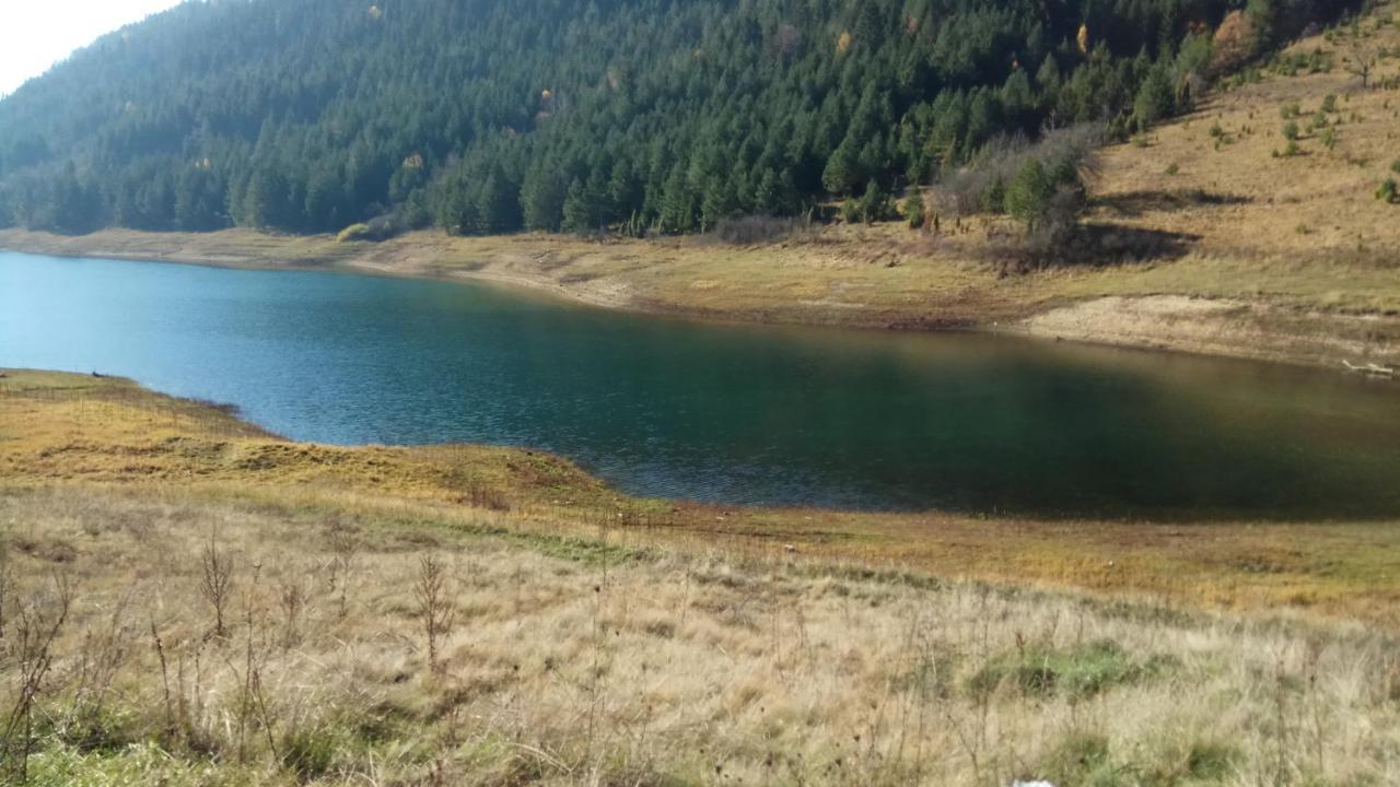 فيلا Zaovineفي Rajski Pogled المظهر الخارجي الصورة